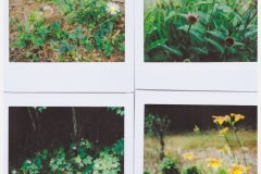 Instax1