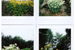 Instax11