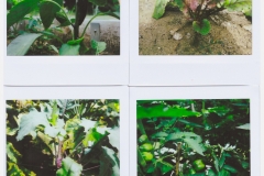 Instax5