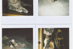Instax6
